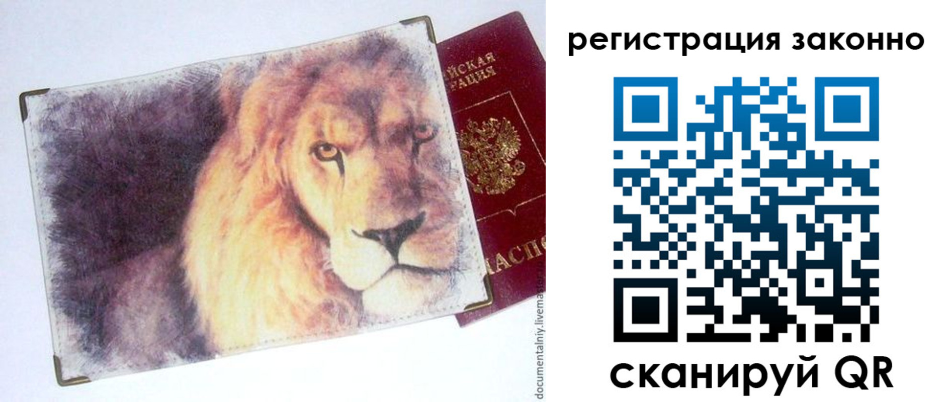 прописка гарантия в Камчатском крае