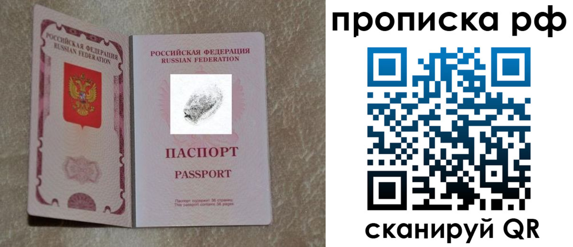 прописка поиск в Камчатском крае